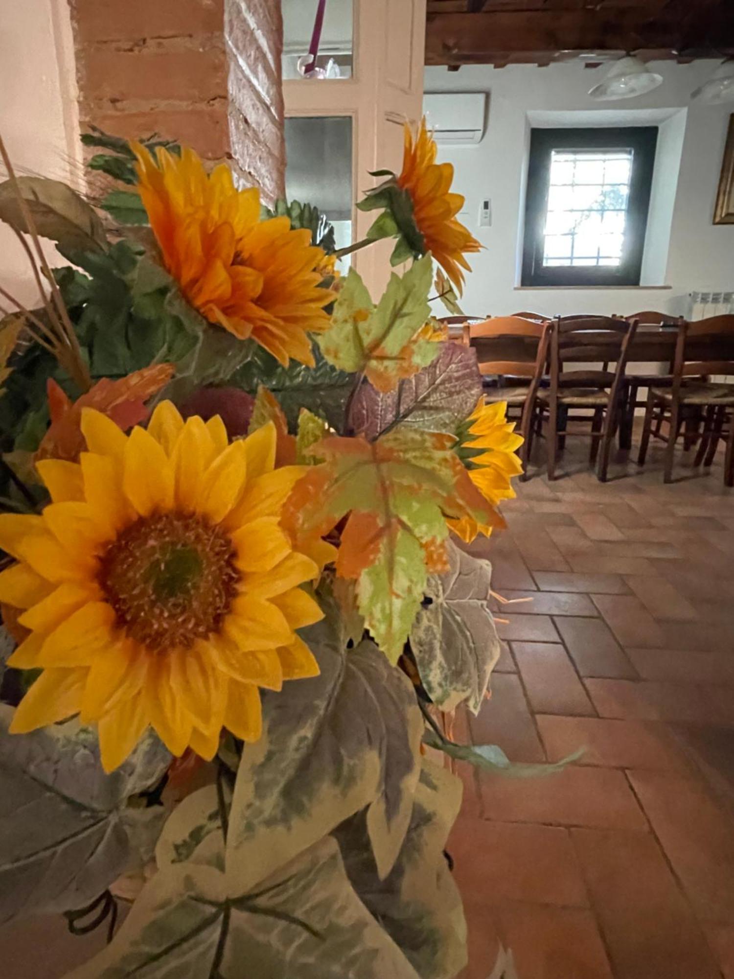 Intero Appartamento Con Private Pool E Jacuzzi Podere Settefrati Montaione Exterior foto
